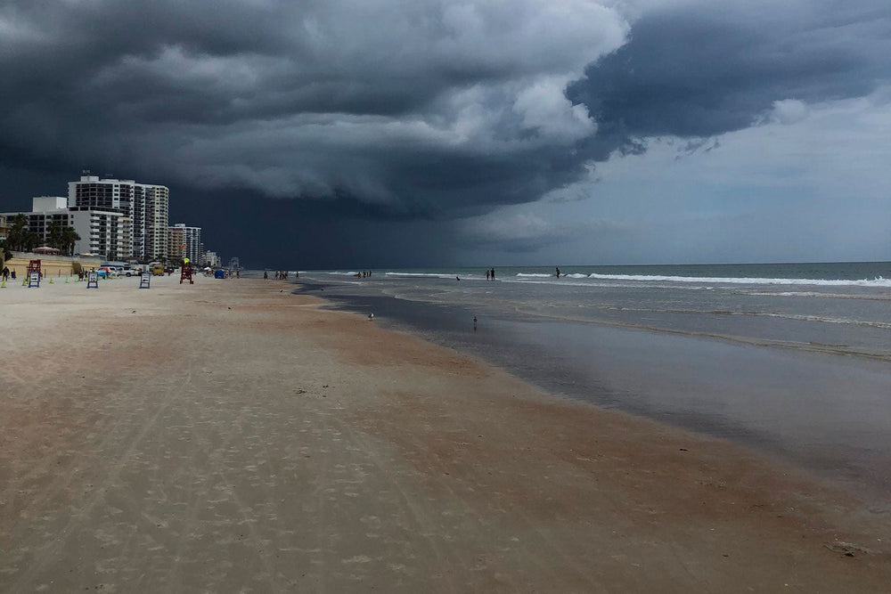 Kinsey, Assistant Buyer & Assitant Store Manager