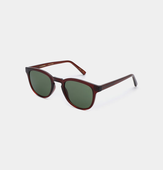 Brown Transparent Bate Sunglasses