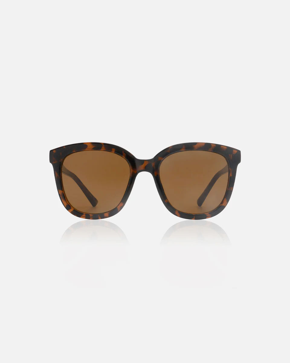 Demi Tortoise Billy Sunglasses