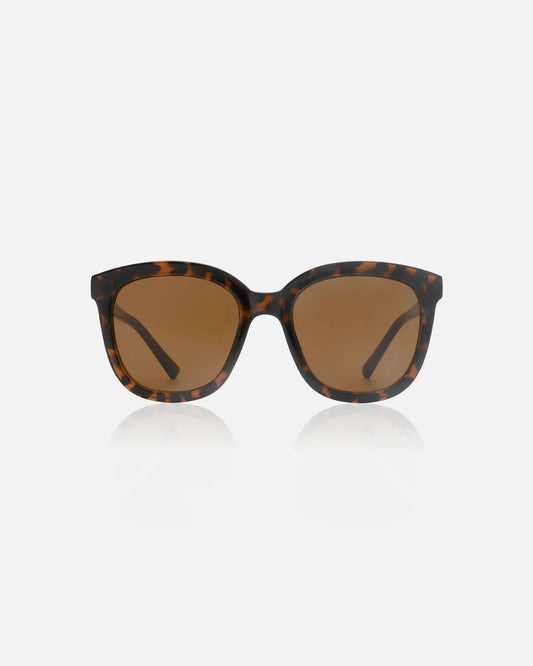 Demi Tortoise Billy Sunglasses