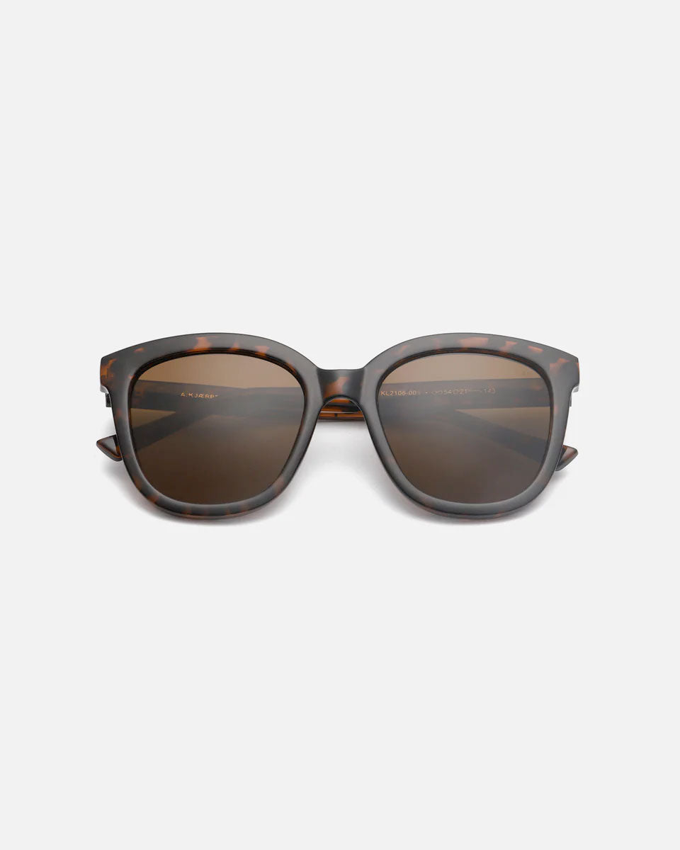 Demi Tortoise Billy Sunglasses