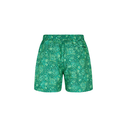 Emerald Aura Men's Trunks