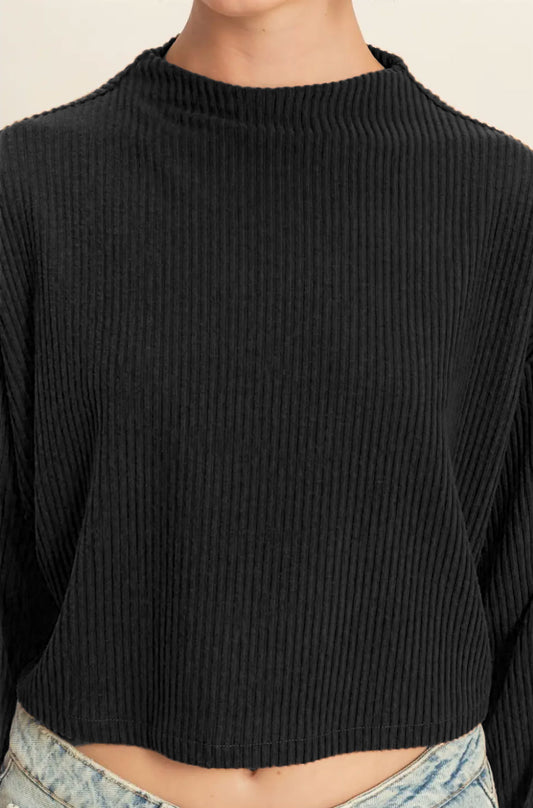 Black Noa Cropped High Neck Ribbed Long Sleeve Top